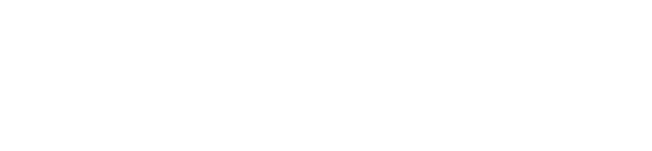Promidia